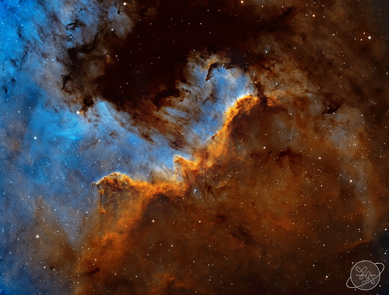 LBN 354 - Cygnus Wall in NGC 7000 by Yannick Akar